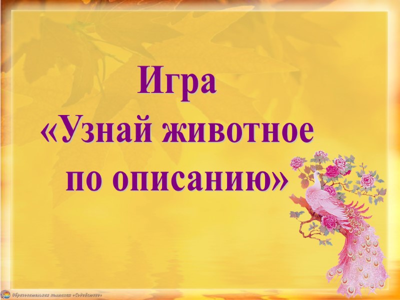 Игра  «Узнай животное  по описанию»